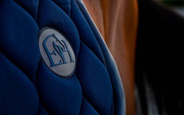 Blue & Brown Saddle Pad - Image 3