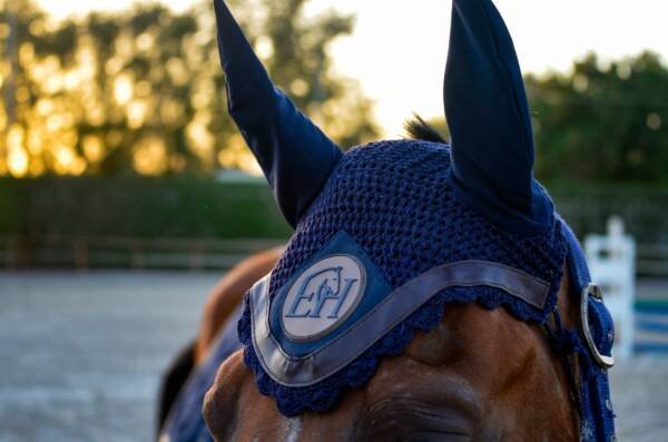 Blue & Brown Earnet