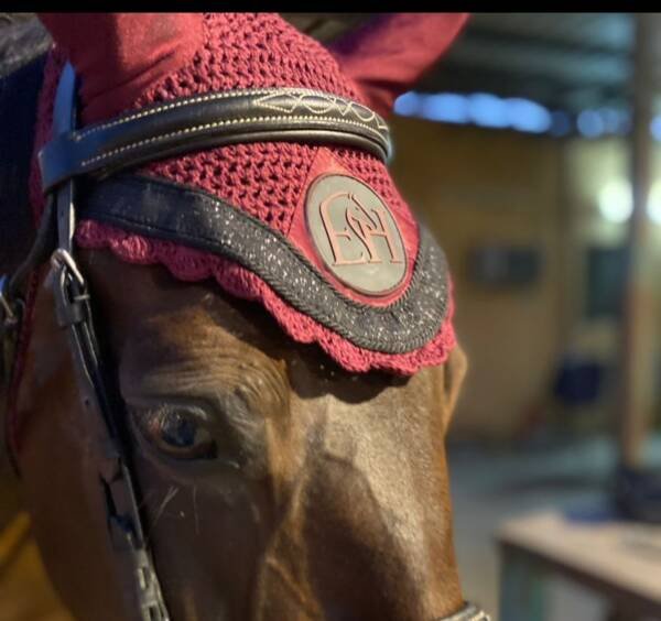 Burgundy & Black Earnet