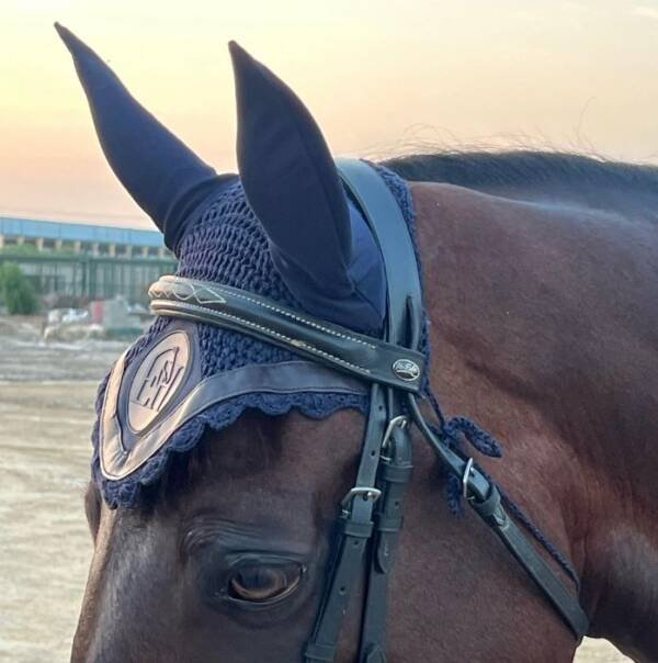 Blue & Brown Earnet - Image 2