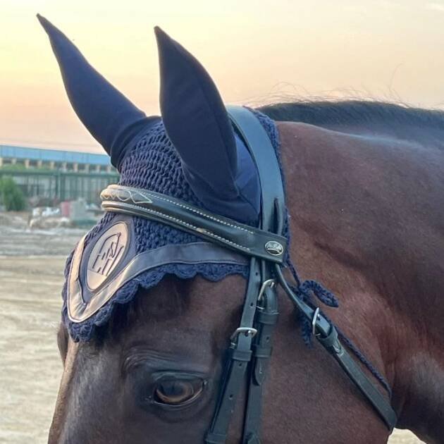 Blue & Brown Earnet